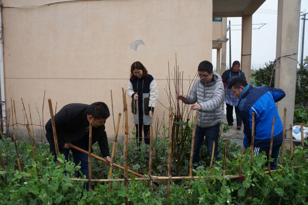 mmexport1490945892668